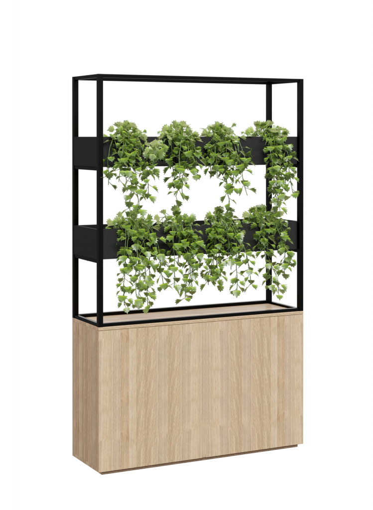 DD Cafe Vertical Garden